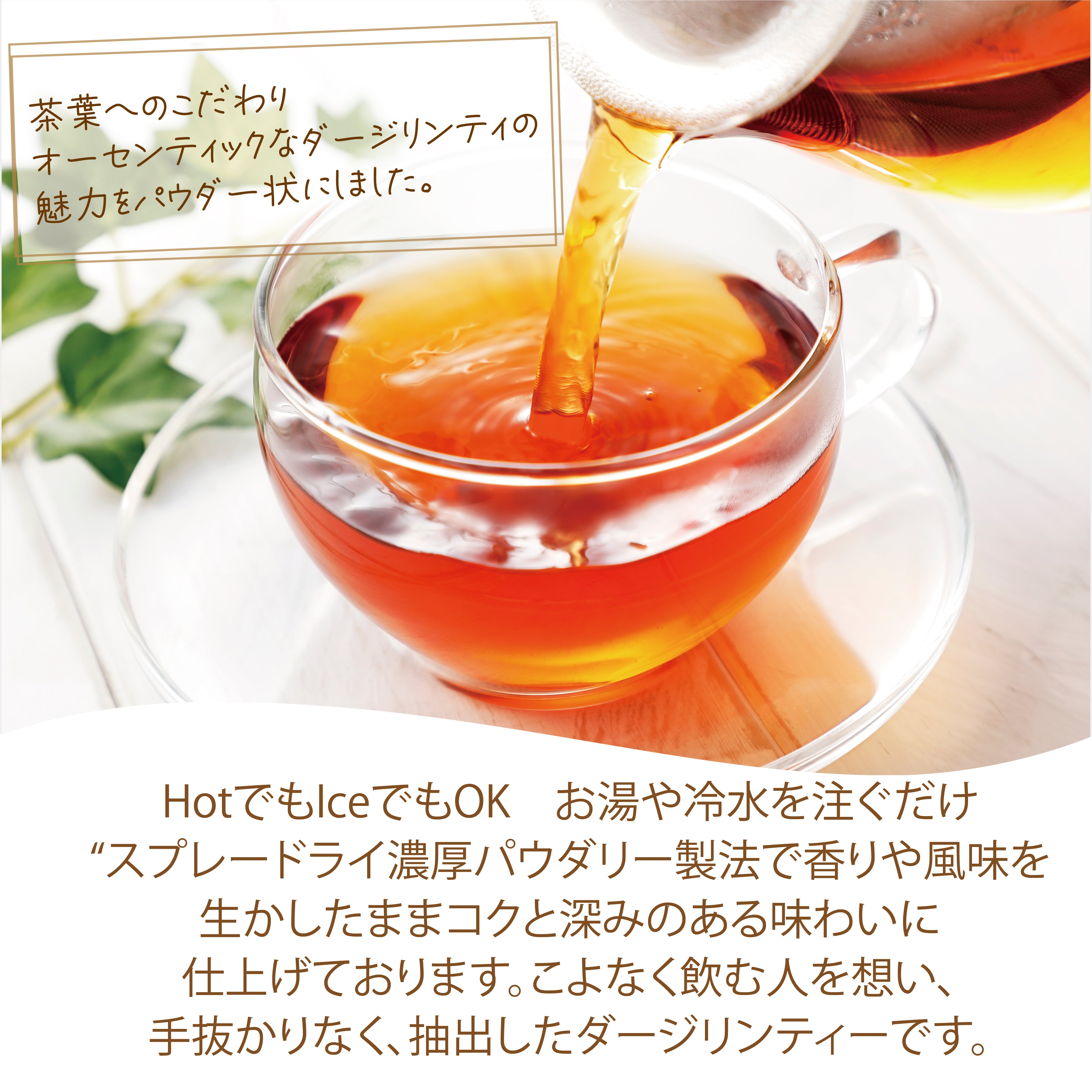 パウダリー ダージリンティー 無糖 上質で優雅な風味と香りが立ち上る (簡単：お水・お湯にサッと溶ける) 業務用 インスタント紅茶 パウダー (100g、250g)
