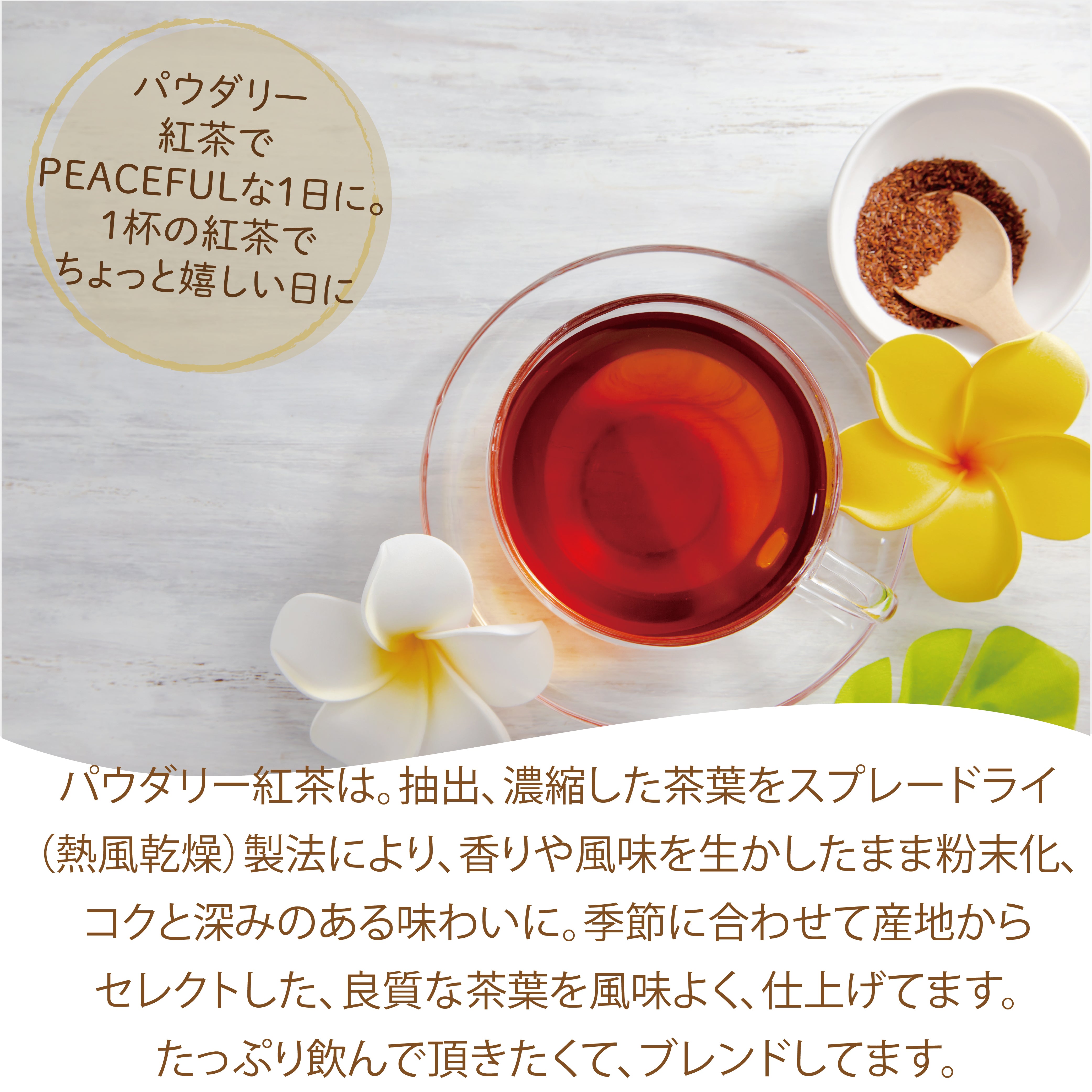 パウダリー ダージリンティー 無糖 上質で優雅な風味と香りが立ち上る (簡単：お水・お湯にサッと溶ける) 業務用 インスタント紅茶 パウダー (100g、250g)