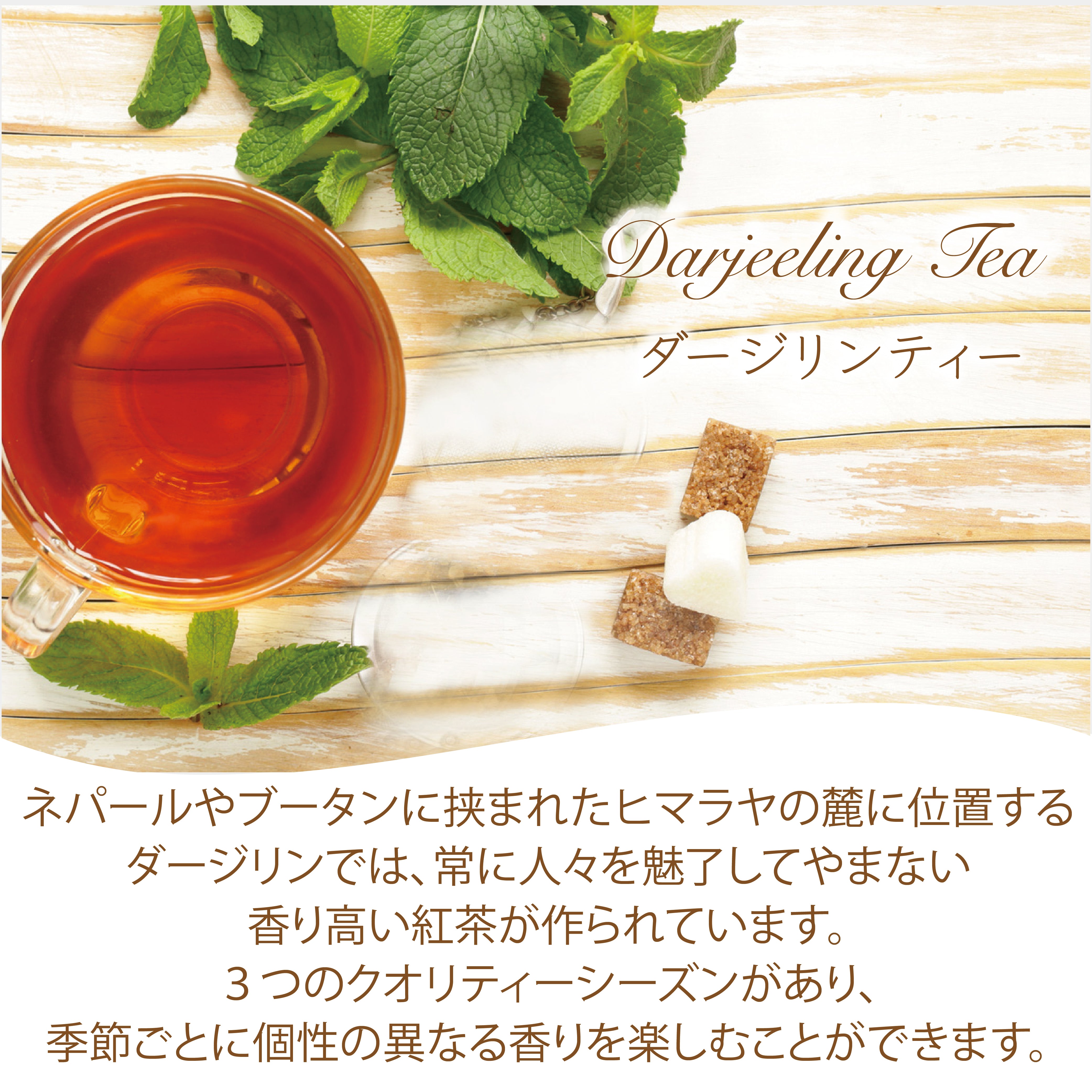 パウダリー ダージリンティー 無糖 上質で優雅な風味と香りが立ち上る (簡単：お水・お湯にサッと溶ける) 業務用 インスタント紅茶 パウダー (100g、250g)