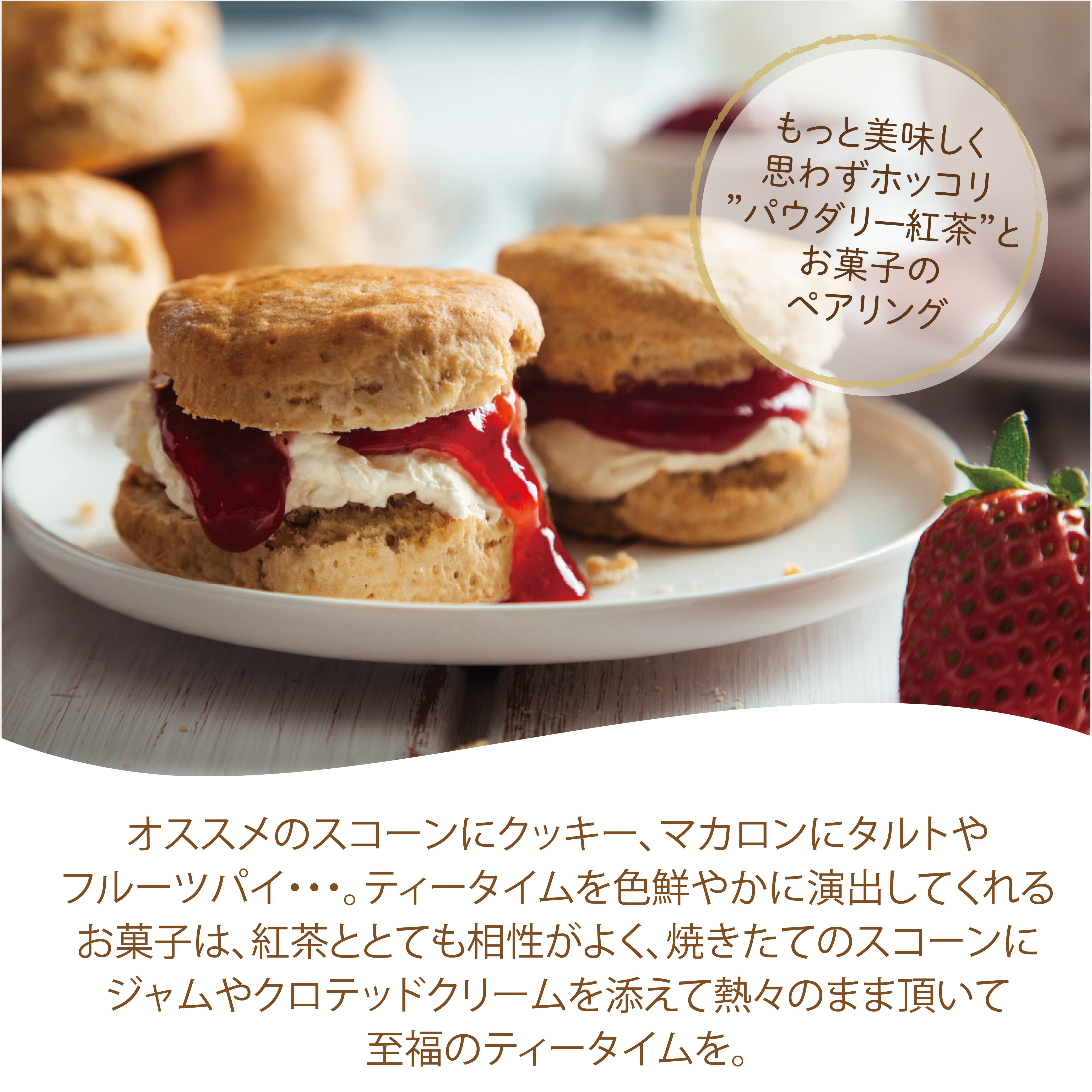 パウダリー ストロベリーティー 無糖 イチゴのフレッシュな甘酸っぱい香りがふんわりと広がる、フルーツティー(簡単：お水・お湯にサッと溶ける) 業務用 インスタント紅茶 パウダー (100g、250g)