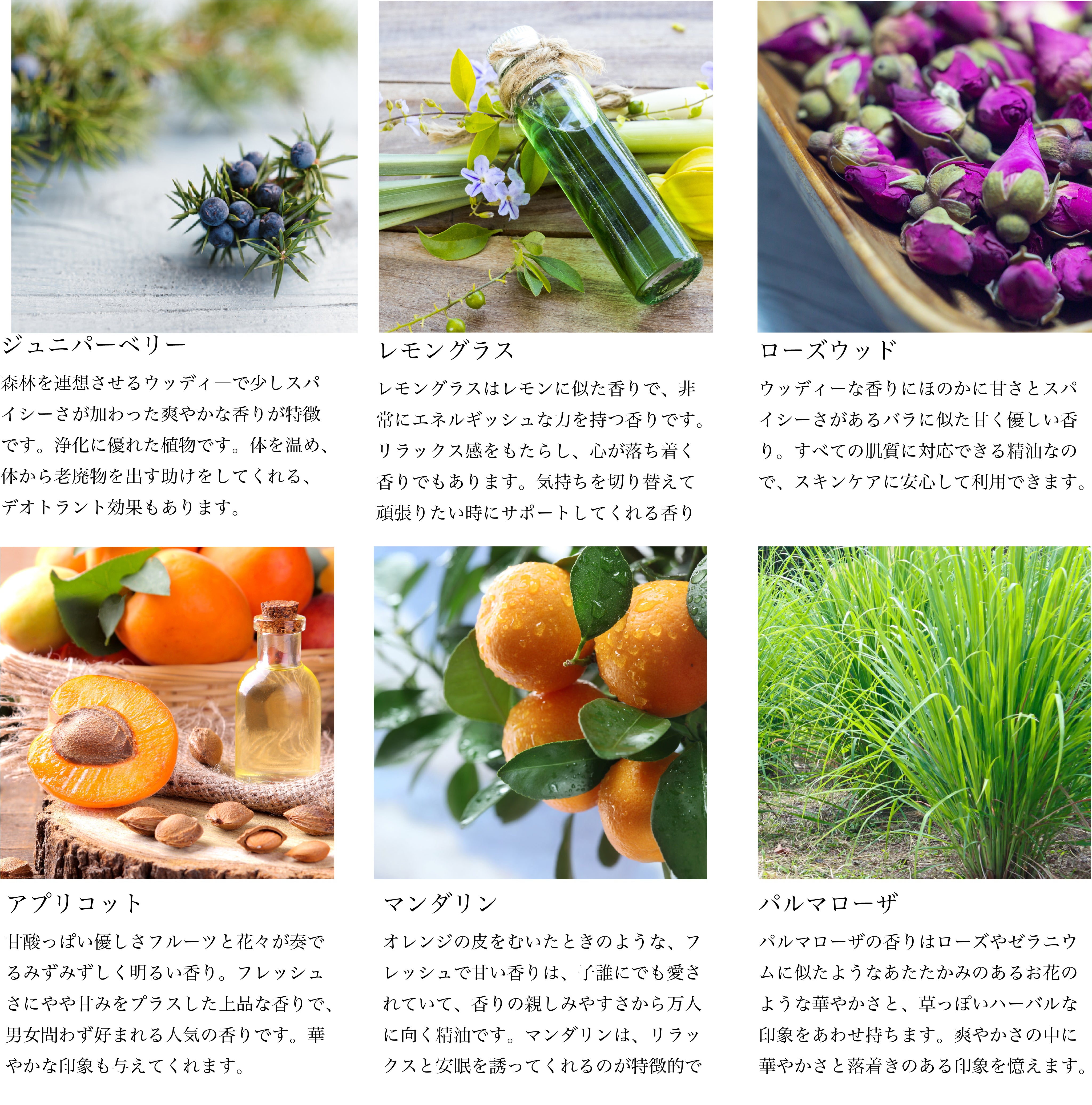 Bergamot-nots ハチミツ ハニーバスエッセンス with アロエベラエキス配合 ローズマリー・ジュニパーベリー アロエ・はちみつ入浴剤 　アロマ芳香沐浴剤