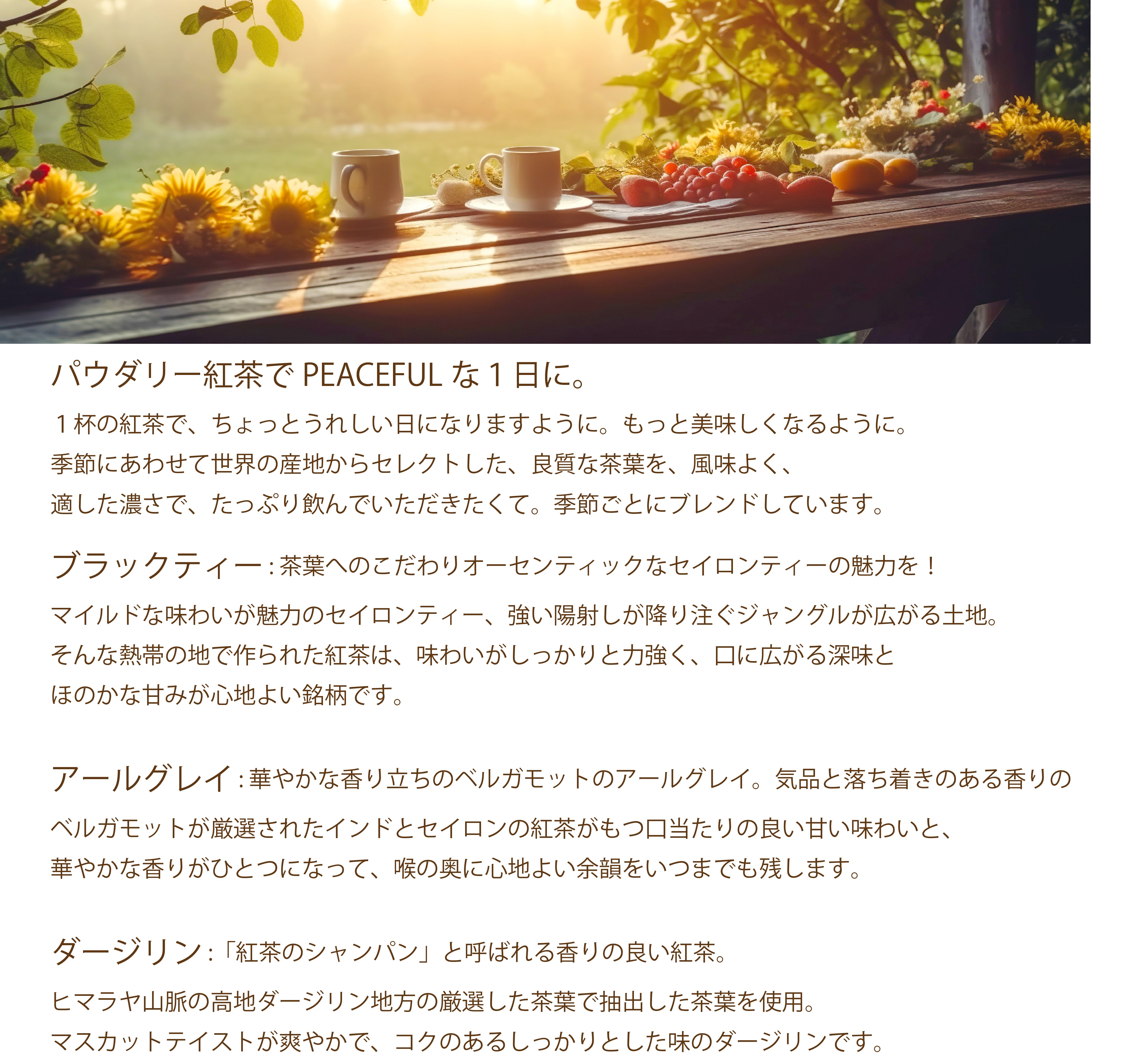 パウダリーインスタント紅茶 無糖 (簡単：お水・お湯にサッと溶ける) 業務用 インスタントストレートブラックティー パウダー (100g、250g)