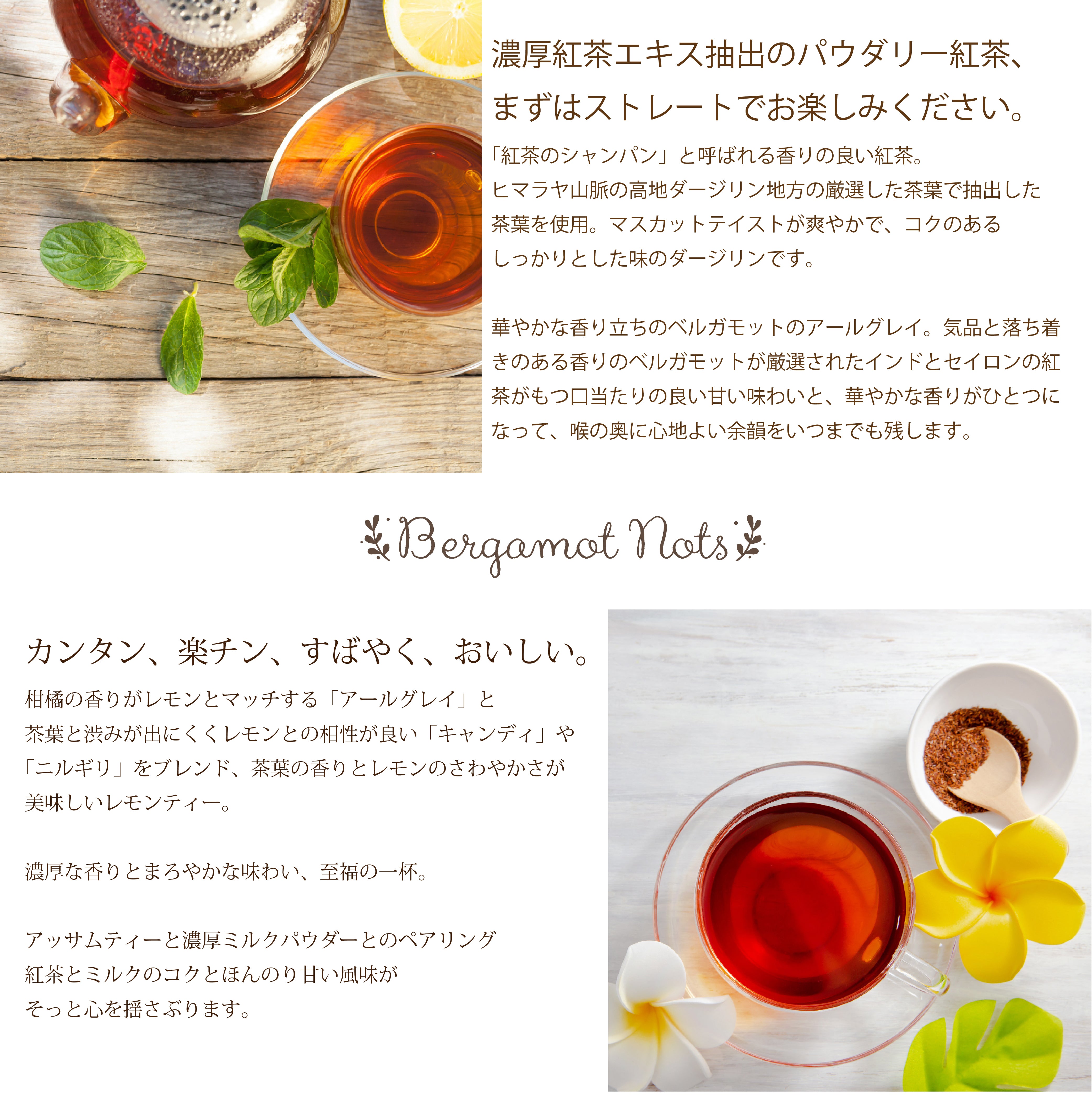 パウダリーインスタント紅茶 無糖 (簡単：お水・お湯にサッと溶ける) 業務用 インスタントストレートブラックティー パウダー (100g、250g)