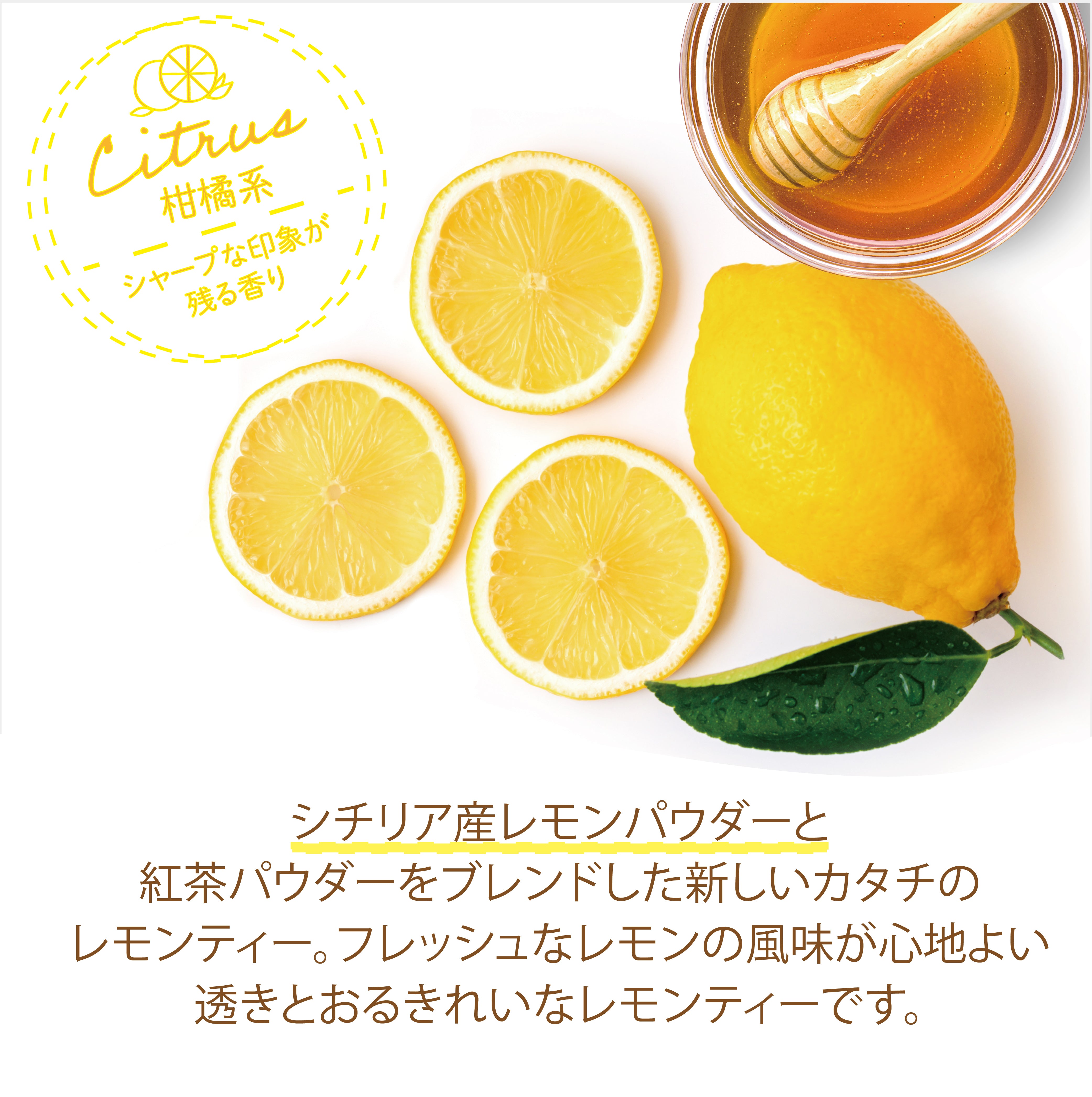 はちみつ紅茶 レモンティー パウダリー インスタントティー (簡単：お水・お湯にサッと溶ける) 甘酸っぱい 低カロリー カテキン ビタミン ポリフェノール はちみつレモンティー（100g、250g）