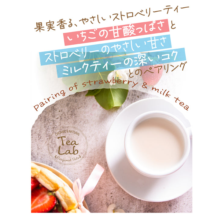 とろ甘いちご ストロベリーミルクティー 北海道全粉乳使用 微糖｜甜菜糖仕立て パウダリー ご褒美ミルクティー（100g、250g）