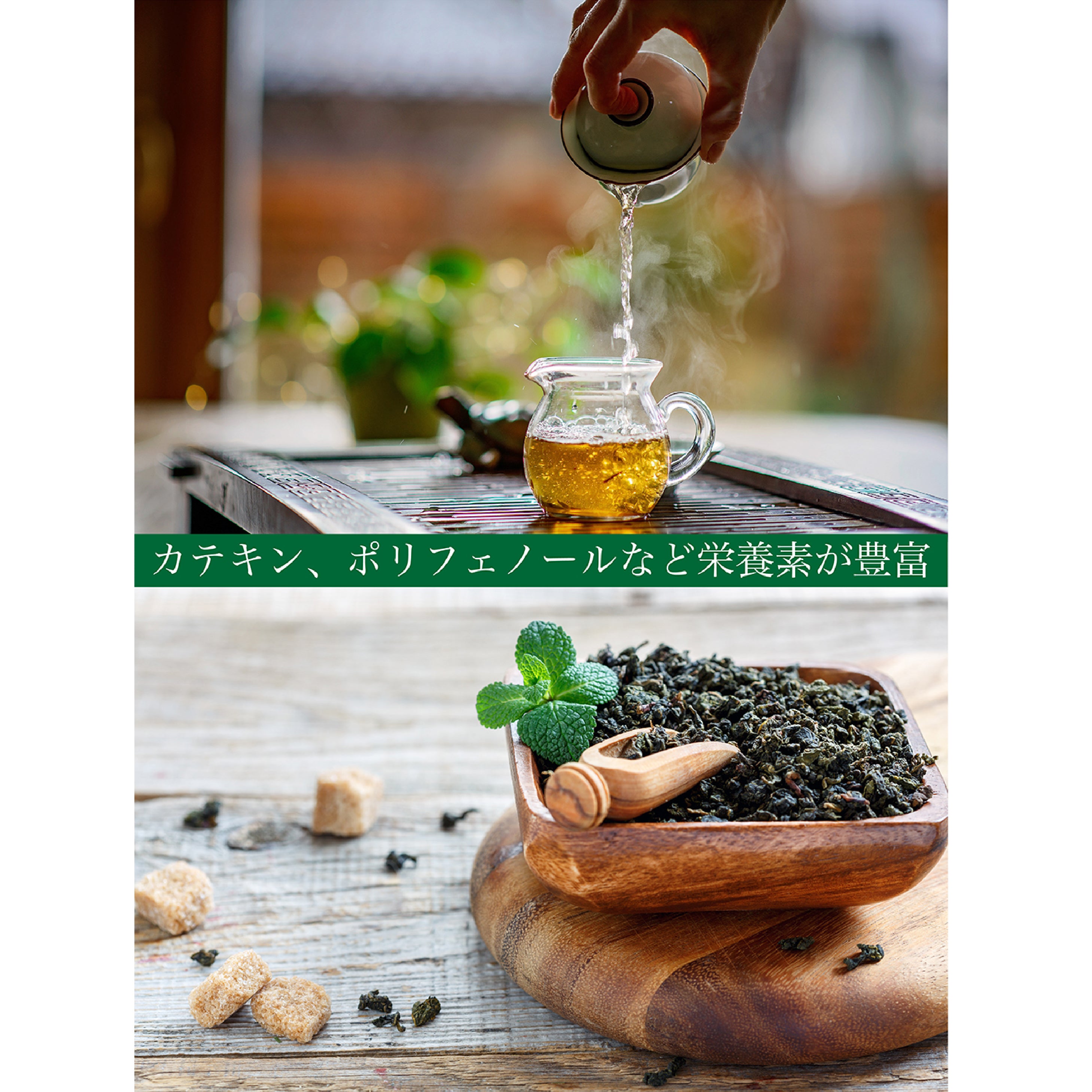 マンゴー烏龍茶 パウダリーインスタント ウーロン茶 無糖 マンゴーの甘い香りがふんわりと広がる、(簡単：お水・お湯にサッと溶ける) 業務用