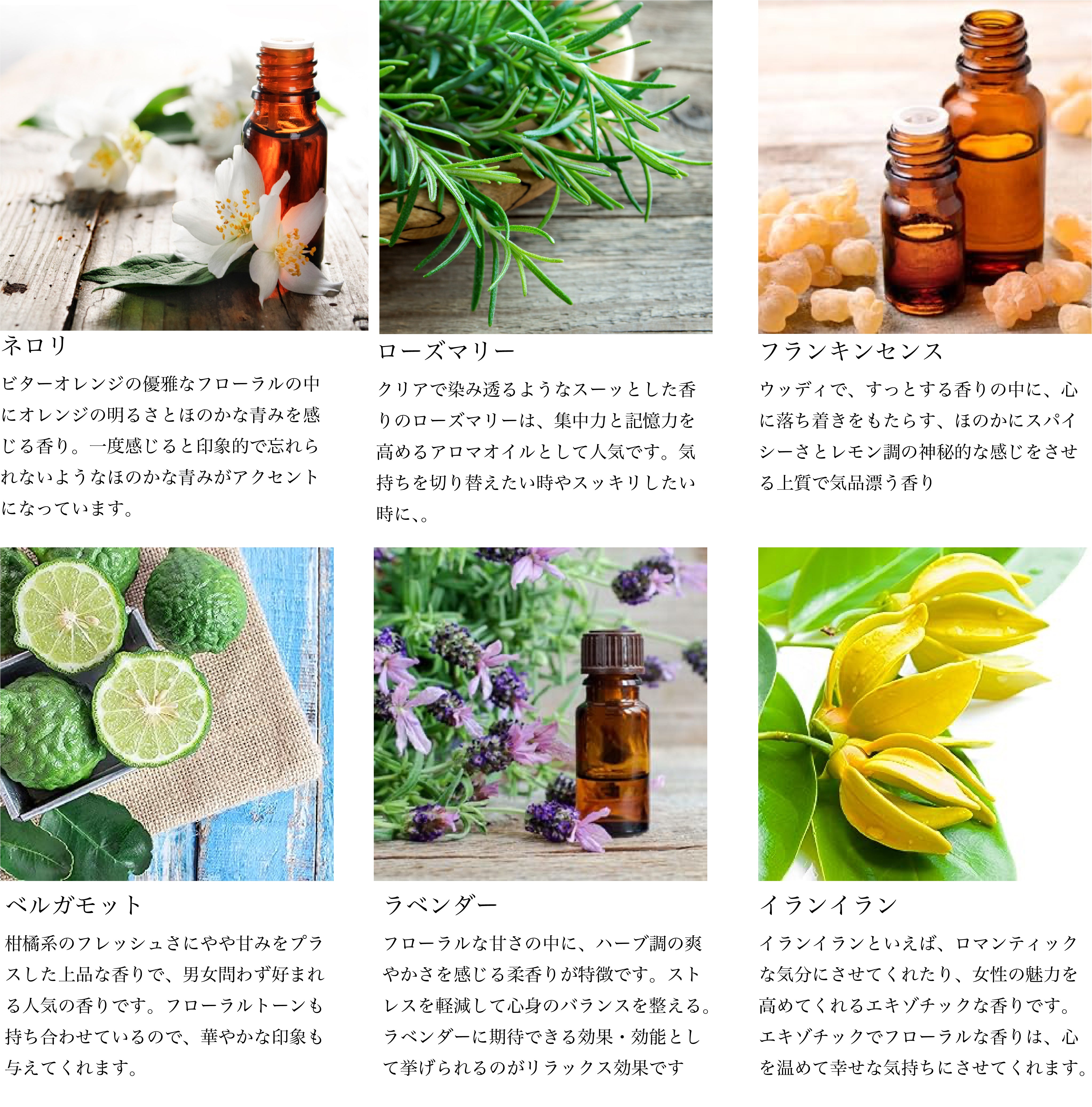 Bergamot-nots ハチミツ ハニーバスエッセンス with アロエベラエキス配合 ローズマリー・ジュニパーベリー アロエ・はちみつ入浴剤 　アロマ芳香沐浴剤